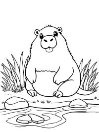 Ο Capibara δίπλα στο νερό