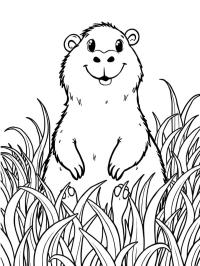 Ο Capibara στο χορτάρι