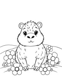 Capibara