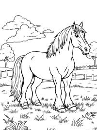 Άλογο Clydesdale