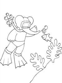 Δύτης babar