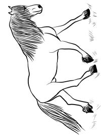 άλογο friesian
