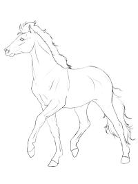 Άλογο Haflinger