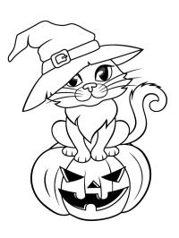Γάτα Halloween με καπέλο μάγισσας