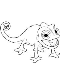 Χαμαιλέων Pascal
