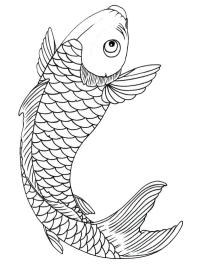 Ψάρι Koi