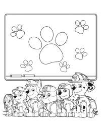 Ομάδα Paw Patrol