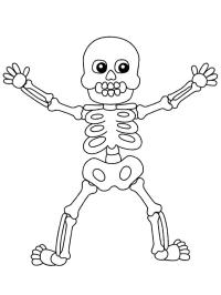 Ανθρώπινος σκελετός Halloween