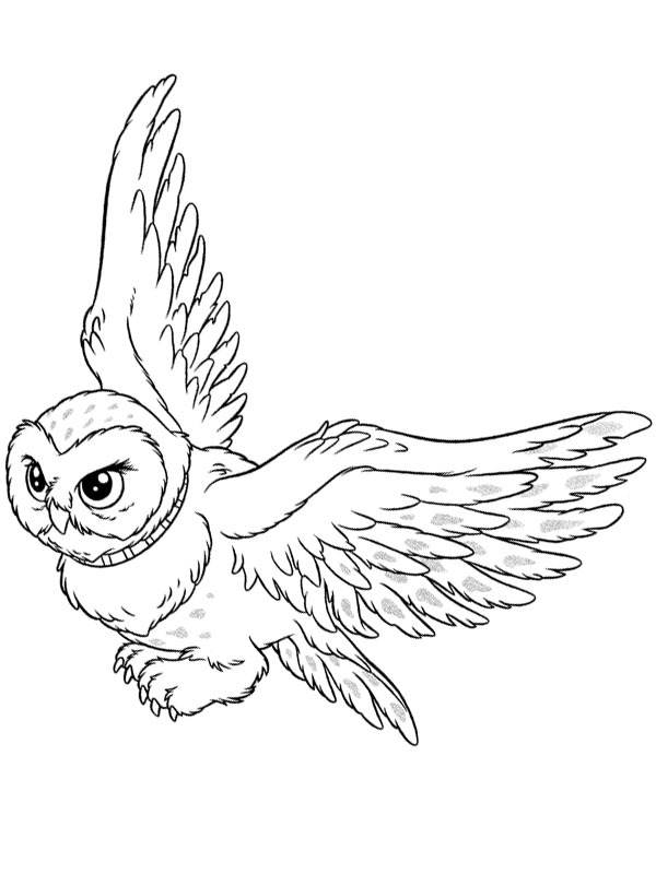 Hedwig η κουκουβάγια (Χάρι Πότερ) ζωγραφική Hedwig η κουκουβάγια (Χάρι Πότερ) ζωγραφική