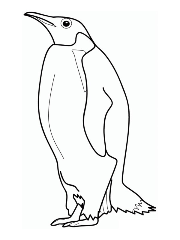 Pinguin imperial ζωγραφική Pinguin imperial ζωγραφική