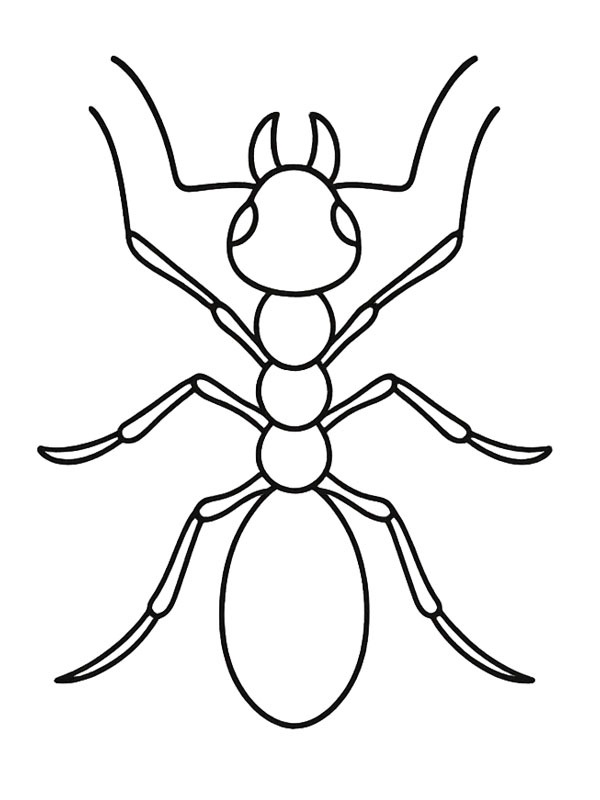 ζωγραφική  ζωγραφική