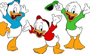 Χιούη, Λιούη και Ντιούη